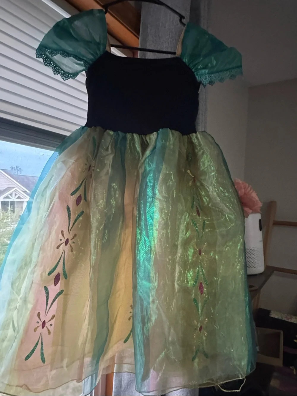 Size 5/6 Princess Anna Frozen dress